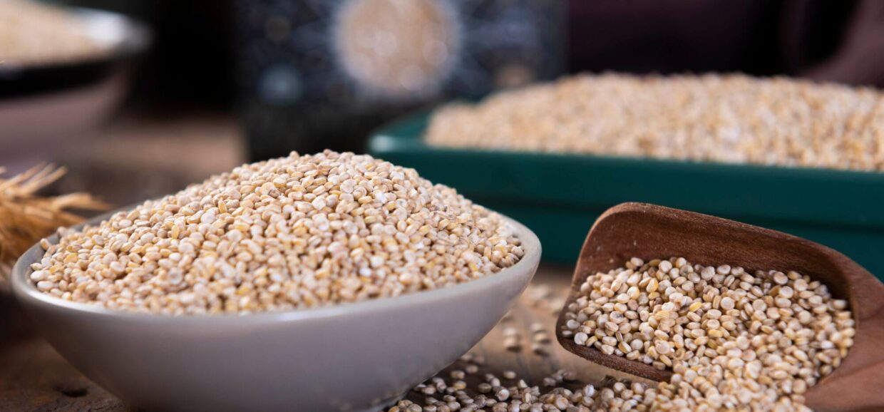 Quinoa